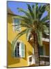 Yellow House and Palm Tree, Villefranche Sur Mer, Cote d'Azur, Provence, France, Europe-John Miller-Mounted Photographic Print