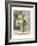 Yellow Hydrangea Gray-Carol Rowan-Framed Art Print