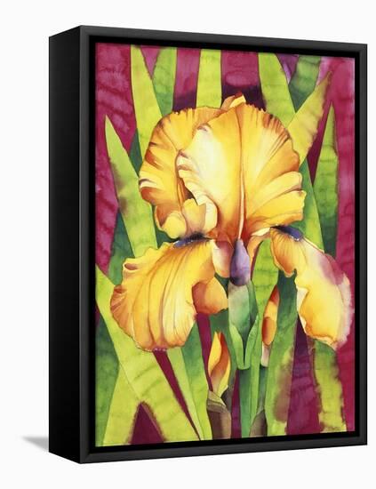 Yellow Iris with Maroon Back-Mary Russel-Framed Premier Image Canvas