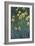 Yellow Irises, 1914-1917-Claude Monet-Framed Giclee Print