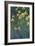 Yellow Irises, 1914-1917-Claude Monet-Framed Giclee Print