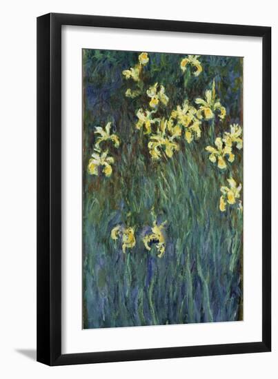 Yellow Irises, 1914-1917-Claude Monet-Framed Giclee Print