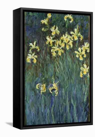 Yellow Irises, 1914-1917-Claude Monet-Framed Premier Image Canvas