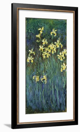 Yellow Irises, c.1914-17-Claude Monet-Framed Premium Giclee Print