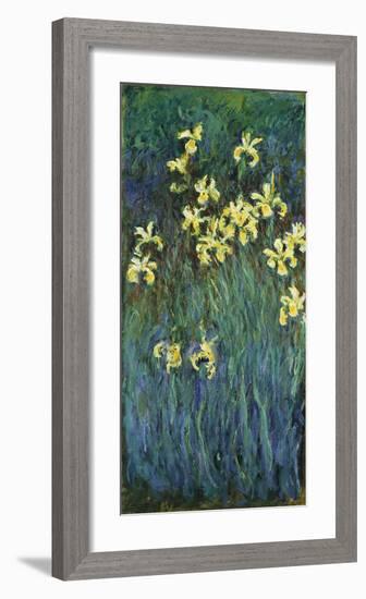 Yellow Irises, c.1914-17-Claude Monet-Framed Premium Giclee Print