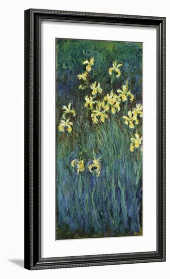 Yellow Irises, c.1914-17-Claude Monet-Framed Premium Giclee Print