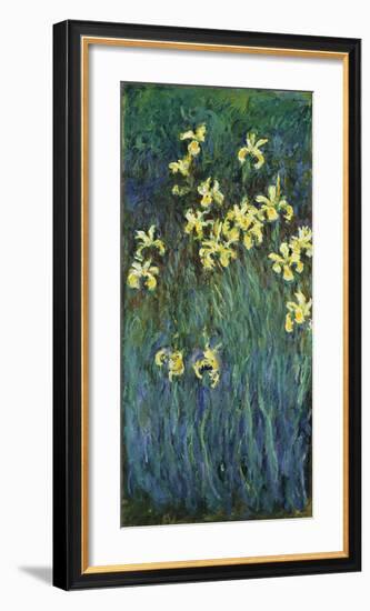Yellow Irises, c.1914-17-Claude Monet-Framed Premium Giclee Print