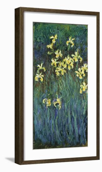 Yellow Irises, c.1914-17-Claude Monet-Framed Premium Giclee Print