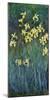 Yellow Irises, c.1914-17-Claude Monet-Mounted Premium Giclee Print