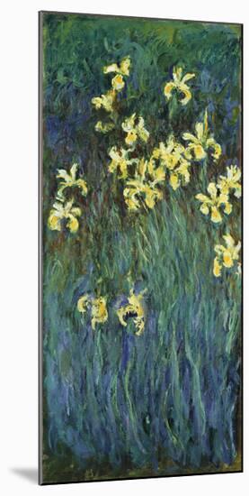 Yellow Irises, c.1914-17-Claude Monet-Mounted Premium Giclee Print