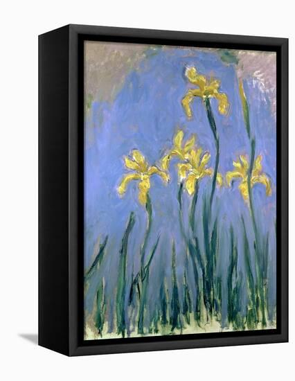 Yellow Irises; Les Iris Jaunes, C.1918-1925-Claude Monet-Framed Premier Image Canvas