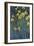 Yellow Irises-Claude Monet-Framed Giclee Print