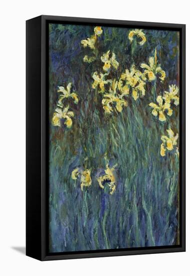 Yellow Irises-Claude Monet-Framed Premier Image Canvas