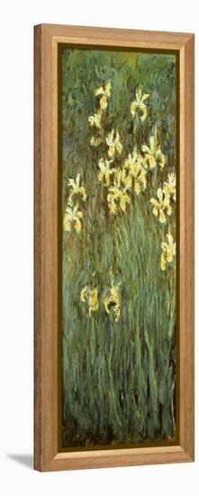 Yellow Irises-Claude Monet-Framed Premier Image Canvas