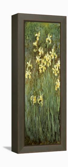 Yellow Irises-Claude Monet-Framed Premier Image Canvas