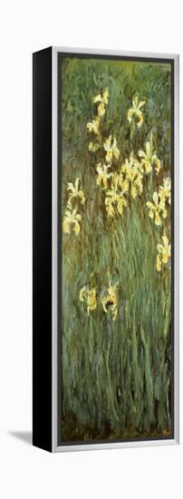 Yellow Irises-Claude Monet-Framed Premier Image Canvas