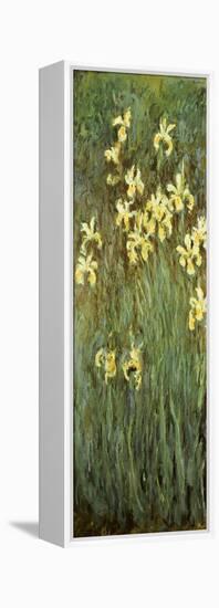 Yellow Irises-Claude Monet-Framed Premier Image Canvas