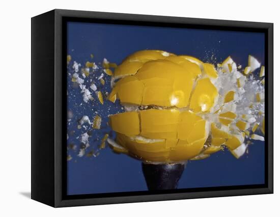 Yellow Jawbreaker Broken-Alan Sailer-Framed Premier Image Canvas