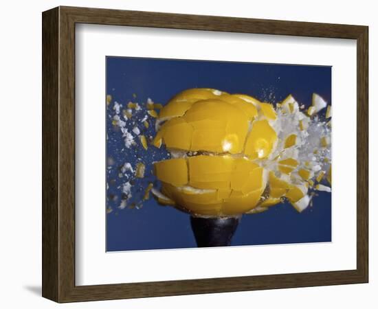 Yellow Jawbreaker Broken-Alan Sailer-Framed Photographic Print