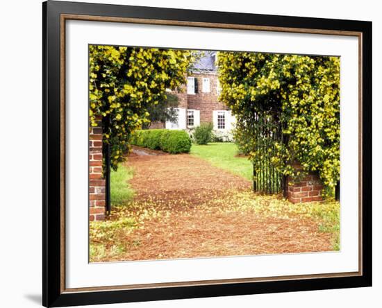 Yellow Jessamine at Gated Entry to Boone Hall Plantation, South Carolina, USA-Julie Eggers-Framed Photographic Print