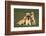 Yellow Lab Mother and Puppies-DLILLC-Framed Photographic Print