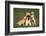 Yellow Lab Mother and Puppies-DLILLC-Framed Photographic Print