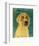 Yellow Labradoodle-John Golden-Framed Giclee Print