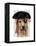 Yellow Labrador Pirate-Fab Funky-Framed Stretched Canvas