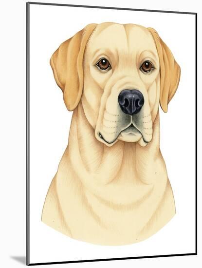 Yellow Labrador Portrait-Tomoyo Pitcher-Mounted Giclee Print