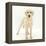 Yellow Labrador Puppy, 5 Months, Standing-Mark Taylor-Framed Premier Image Canvas