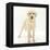 Yellow Labrador Puppy, 5 Months, Standing-Mark Taylor-Framed Premier Image Canvas