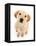 Yellow Labrador puppy, aged 4 months-Mark Taylor-Framed Premier Image Canvas