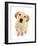 Yellow Labrador puppy, aged 4 months-Mark Taylor-Framed Photographic Print