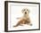 Yellow Labrador Puppy and Ginger Kitten-Mark Taylor-Framed Photographic Print