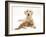 Yellow Labrador Puppy and Ginger Kitten-Mark Taylor-Framed Photographic Print