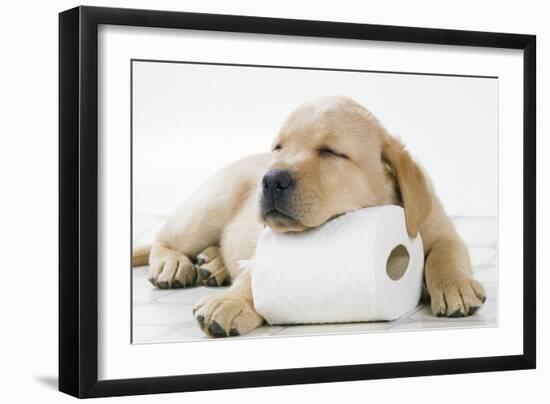 Yellow Labrador Puppy Asleep on Toilet Roll, 9 Weeks-null-Framed Premium Photographic Print
