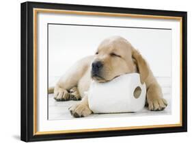Yellow Labrador Puppy Asleep on Toilet Roll, 9 Weeks-null-Framed Photographic Print