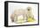 Yellow Labrador Retriever Bitch Puppies, 10 Weeks, Lying with Yellow Daffodils-Mark Taylor-Framed Premier Image Canvas