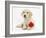 Yellow Labrador Retriever Bitch Puppy, 10 Weeks, Lying with a Red Rose-Mark Taylor-Framed Photographic Print