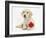 Yellow Labrador Retriever Bitch Puppy, 10 Weeks, Lying with a Red Rose-Mark Taylor-Framed Photographic Print