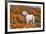 Yellow Labrador Retriever dog in a field of poppies-Zandria Muench Beraldo-Framed Photographic Print