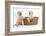 Yellow Labrador Retriever Puppies, 7 Weeks, in a Wicker Dog Basket-Mark Taylor-Framed Photographic Print