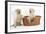 Yellow Labrador Retriever Puppies, 7 Weeks, in a Wicker Dog Basket-Mark Taylor-Framed Photographic Print