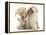 Yellow Labrador Retriever Puppies, 9 Weeks, Playing with a Ragger Toy-Mark Taylor-Framed Premier Image Canvas