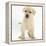 Yellow Labrador Retriever Puppy, 7 Weeks-Mark Taylor-Framed Premier Image Canvas