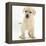 Yellow Labrador Retriever Puppy, 7 Weeks-Mark Taylor-Framed Premier Image Canvas