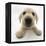 Yellow Labrador Retriever Puppy, 8 Weeks Old, Lying with Head Up-Mark Taylor-Framed Premier Image Canvas