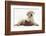 Yellow Labrador Retriever Puppy, 8 Weeks, with a Child's Shoe-Mark Taylor-Framed Photographic Print