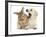 Yellow Labrador Retriever Puppy, 8 Weeks, Yawning in Lionhead Cross Rabbit's Ear-Mark Taylor-Framed Photographic Print