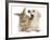 Yellow Labrador Retriever Puppy, 8 Weeks, Yawning in Lionhead Cross Rabbit's Ear-Mark Taylor-Framed Photographic Print